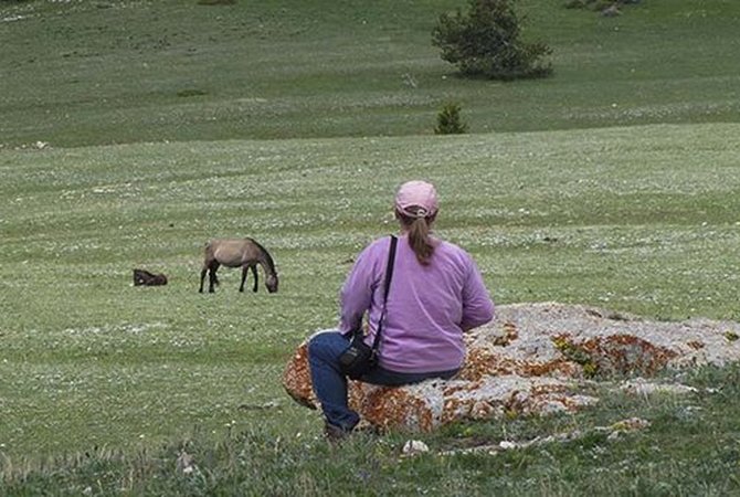 Woman observing wild mare and foal in natural habitat.