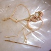Specimen tapeworm for research study.
