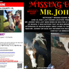 Info about Mr. Johnny.