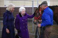 Monty Roberts meeting with Queen Elizabeth and one of her horses.