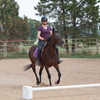 Rider on Thoroughbred horse.