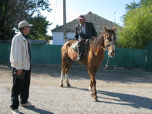 Veterinarian visiting a farm to diagnose lameness in a horse.