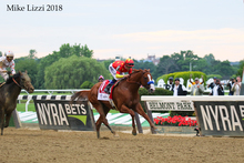 Horse racing at Belmont Park in USA.