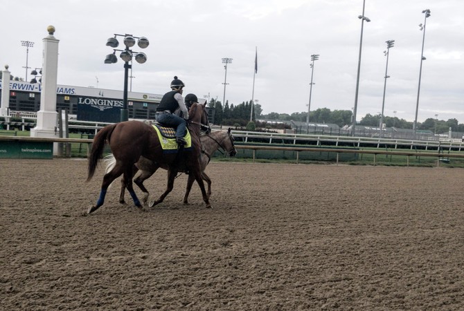 Justify on race track during a morning workout.