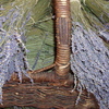 Basket filled with lavender for aromatherapy.
