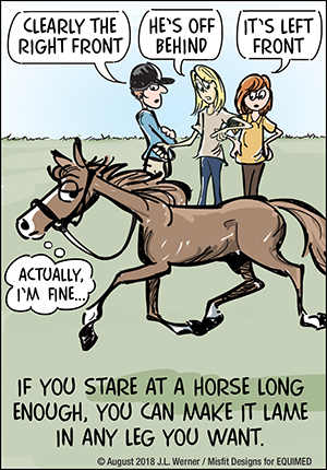 equimed horse funny horses cartoon health werner matters memes jokes jody equine