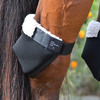 Hock Shields protecting horse's hocks.
