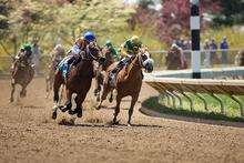 Horses racing around track.