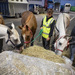 Airport scene showing horses traveling internationally for an equestrian event.