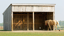 A run-in shed for horses.