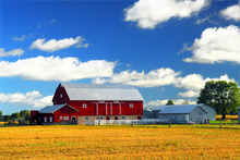 Practical features for horse barns