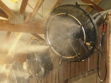 Keeping Cool With Barn Misters Equimed Horse Health Matters