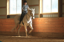 Butterly matting system for horse arenas