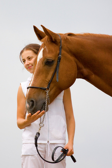 Positive influences of working with horses