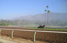 Horse racing at Santa Anita