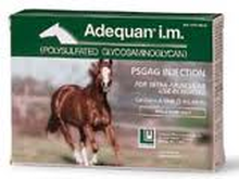 Adequan horse medication