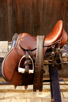 Saving horse owners from saddle theft