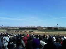 A holiday view of horse racing events