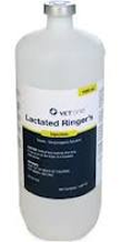 Lactated Ringers Solution
