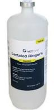 Lactated Ringers Solution | EquiMed - Horse Health Matters