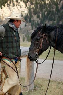 Training for advanced horsemanship skills