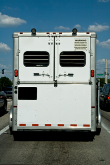 Setting limits on horse transport