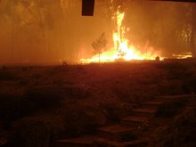 Raging brush fire in Australia