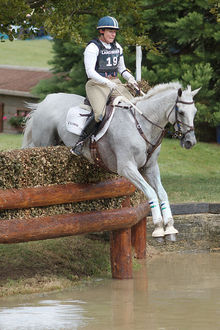 Courageous Comet - Eventing Division Winner
