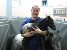 Dr. Norton - Hands-on approach to equine health