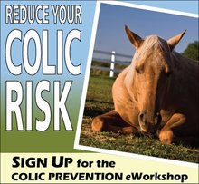 Upcoming Colic Prevention eWorkshop