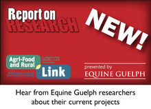 Learn the latest in equine research