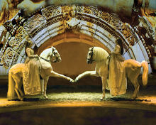 Cavalia mirror performance