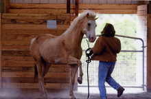 Bennie and Missy Wryn playing together