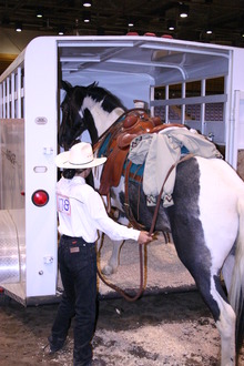 Practice makes perfect when trailer loading your horse