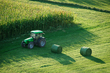 A field yielding nutrient-rich hay
