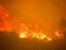 Explosive Colorado wildfire