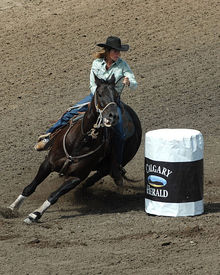 The excitement of barrel racing