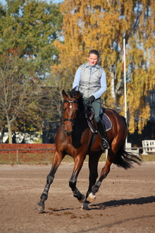 Better fitness and conditioning for your horse