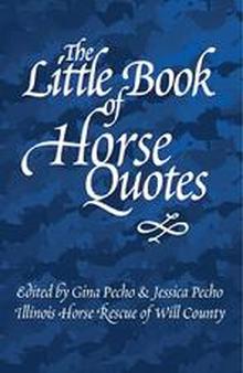 Unforgettable quotes about horses from more than 100 famous authors