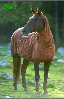 A skin-protecting blanket for your horse