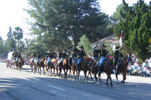 Celebrating horses and equestrians, past, present, and future