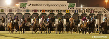 Horse racing at Hollywood Park