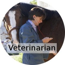 Veterinarian.