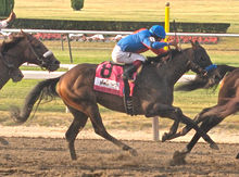 Game On Dude winning race at Belmont Race Track