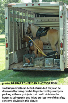 Do's and Don'ts of horse trailering