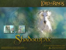 Poster: Lord of The Rings Shadowfax Superstar Horse