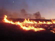 Help when wildfires threaten horses