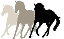 Helping owners find stolen horses