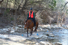 United effort to keep trails open for horses and riders