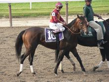 Icabad Crane racing at Pimlico